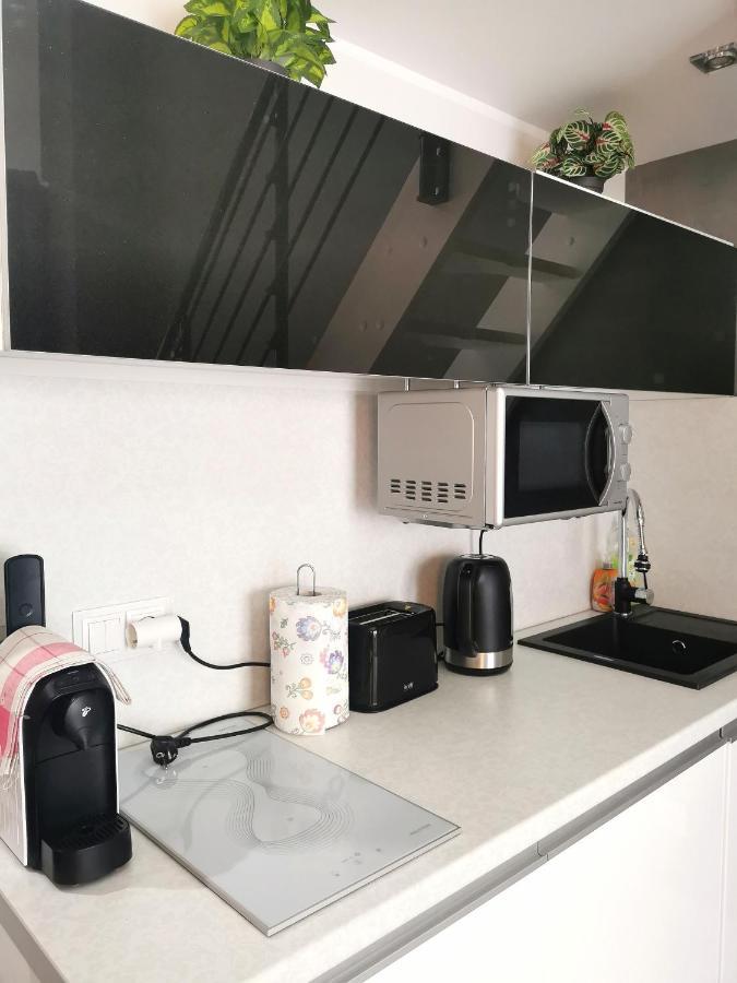 Strandidylle Apartment Mit Meerblick Und Kamin ミエンジズドロイェ エクステリア 写真